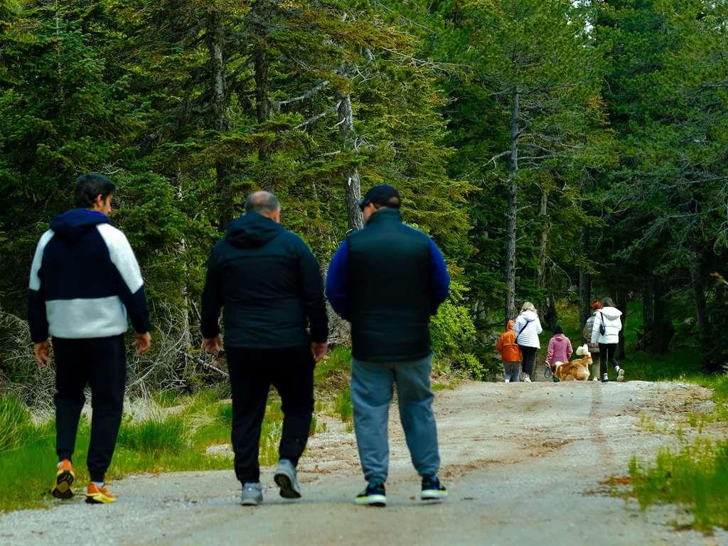 Swissotel Uludag بورصة المرافق الصورة