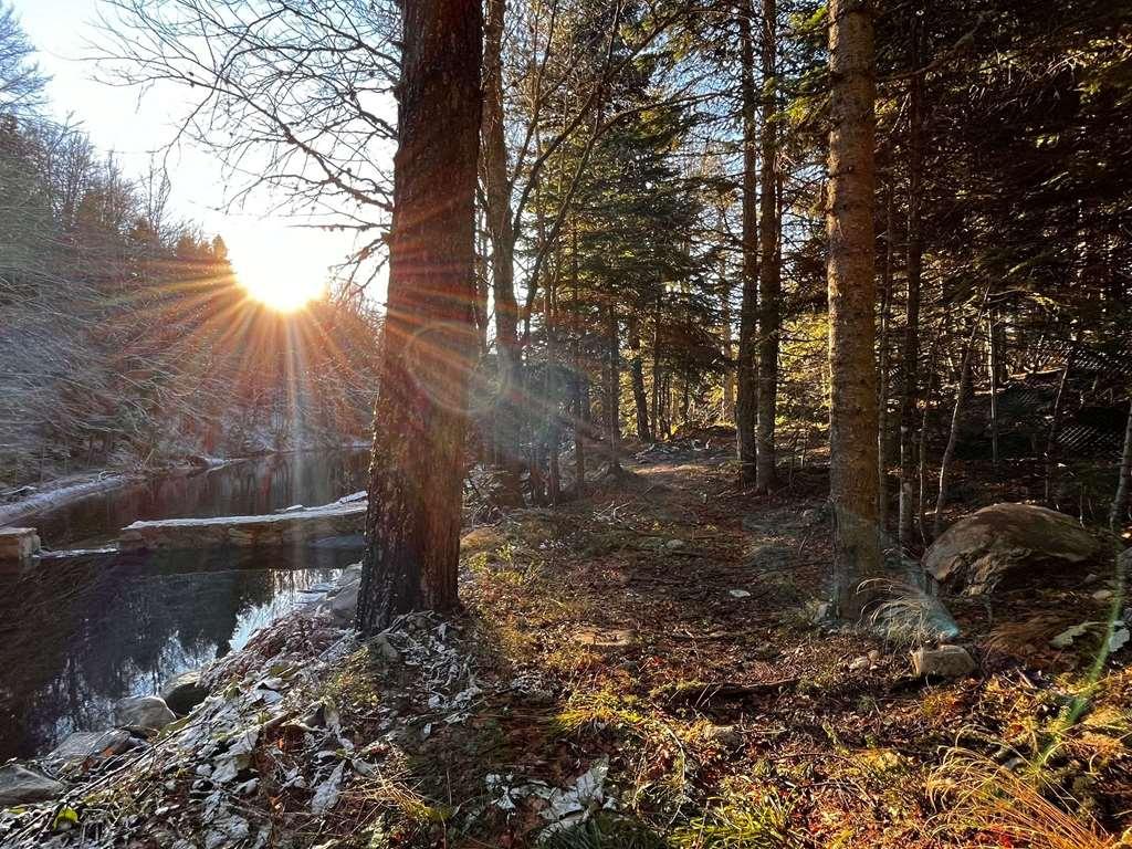 Swissotel Uludag بورصة المرافق الصورة